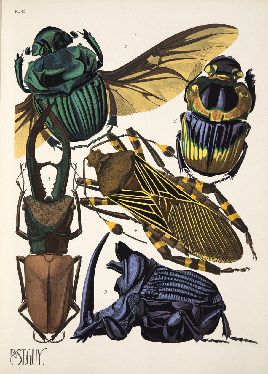 Talíř 15 z Insectes, hospoda. 30. léta (pochoir print) od Émile Allain Séguy