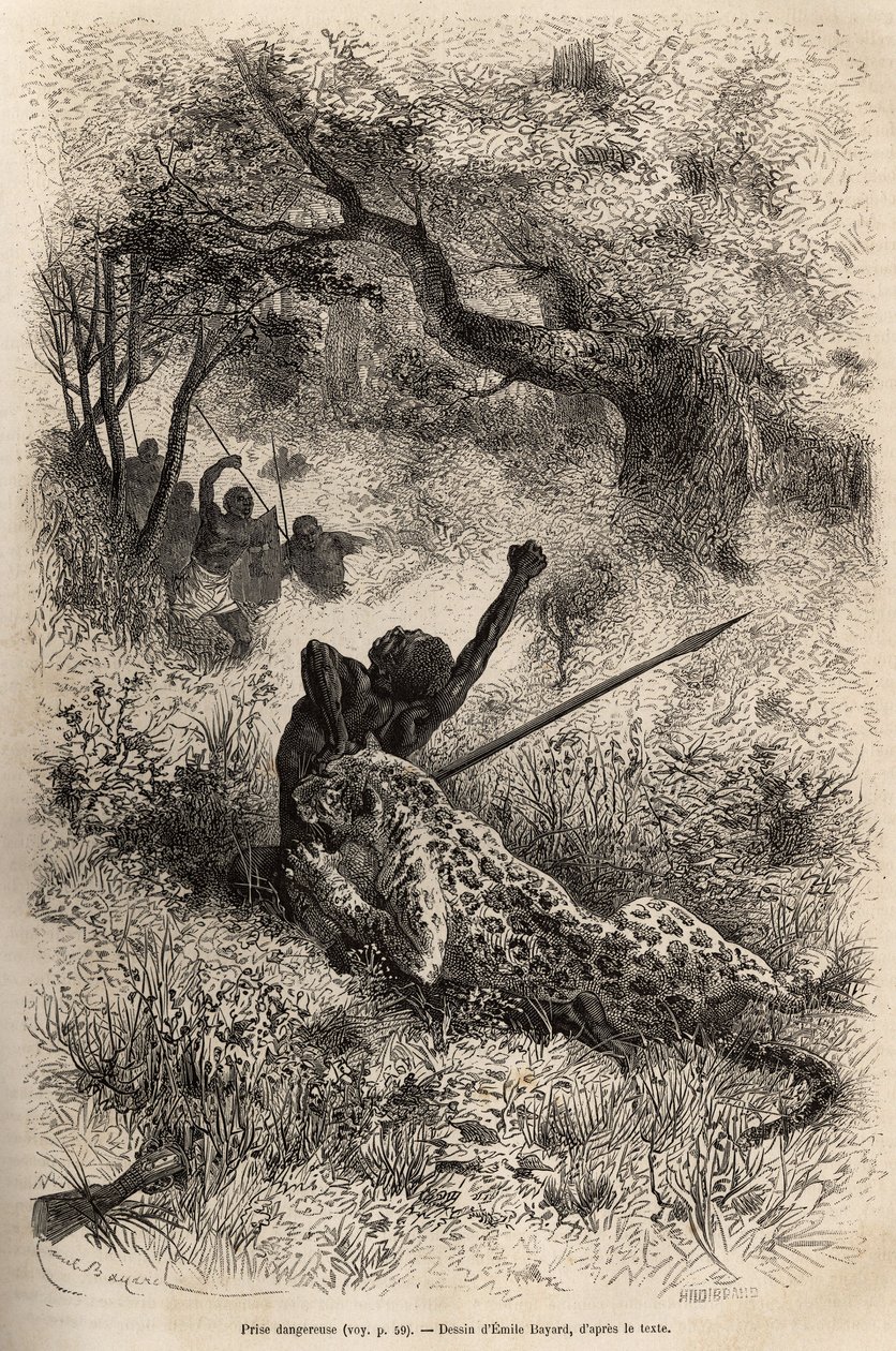 Leopard skočí na muže a krutě ho kousne do zad, v blízkosti Bambare (Kongo), rytina podle kresby Emila Bayarda, ilustrující poslední deník Davida Livingstonea (1813-1873), v letech 1866-1873, publikovaný v „ “Le tour du monde”” 1875, edite od Emile Antoine Bayard