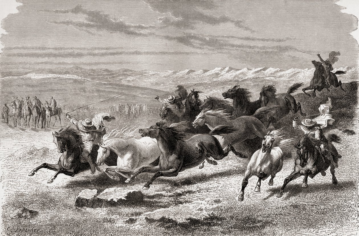 Argentinští gauchos zakulacení divokých koní, ilustrace z 