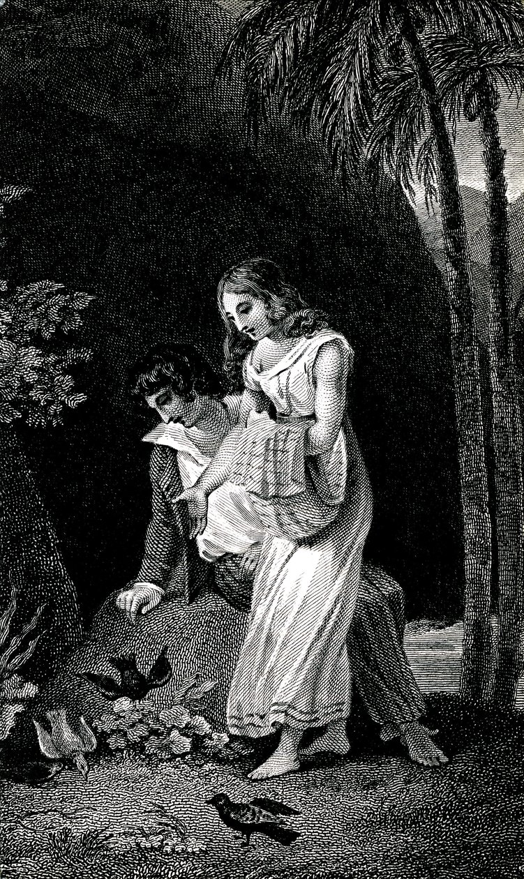 Rytina ilustrující vydání románu Jacques-Henri Bernardin de Saint Pierre (Jacques Henri Bernardin de Saint-Pierre): Paul et Virginie z konce 19. století. V blízkosti mladého páru milenců v lese bez obav přistávají ptáci. Kresba b od Emile Antoine Bayard