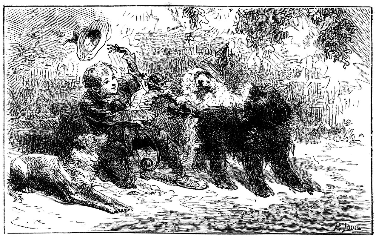 Ilustrace Emile Bayarda k románu Hectora Malota „“ Sans Famille „“: Remi si hraje se svými přáteli, učenými zvířaty ze skupiny pana Vitalise, cestujícím umělcem - Joli-Coeur (krásné srdce), opicí a třemi psy Capi, Zerbino a Dol od Emile Antoine Bayard