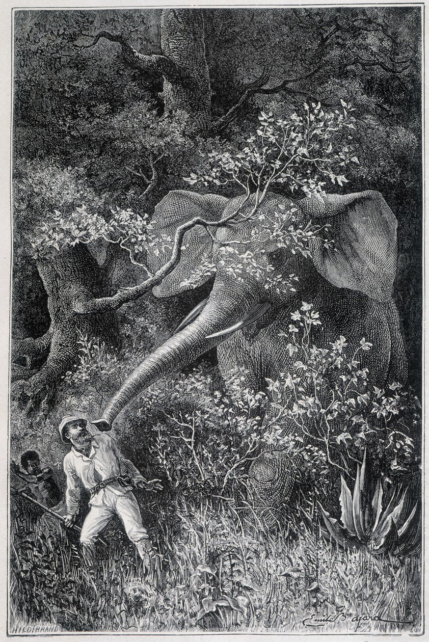 Livingstone překvapený slonem v "Le Tour du Monde" od Emile Antoine Bayard