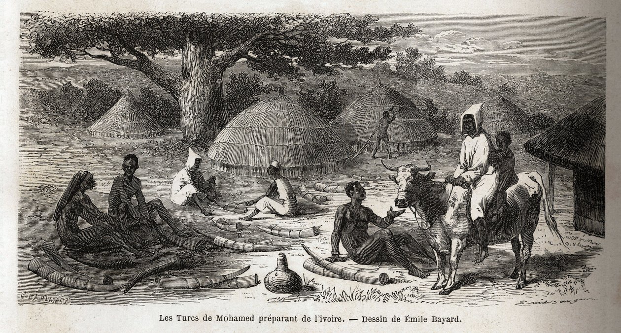 Příprava slonoviny pro tureckého obchodníka z Ugandy, kresba Emile Bayarda (1837-1891), ilustrující objevnou cestu kapitána Spekeho v Africe v letech 1860 až 1863. Rytina v „“Le tour du monde““, editoval Edouard Charton od Emile Antoine Bayard