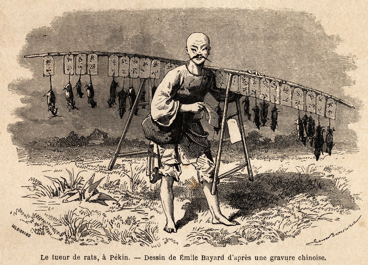 Zabiják krys v Pekinu. Kresba Emila Bayarda (1837-1891) pro ilustraci cesty ze Šanghaje do Moskvy v letech 1859 až 1862 od pana de Bourboulona, francouzského ministra Číny. Rytina v „“ Le tour du monde““, editoval Edouard Charton od Emile Antoine Bayard