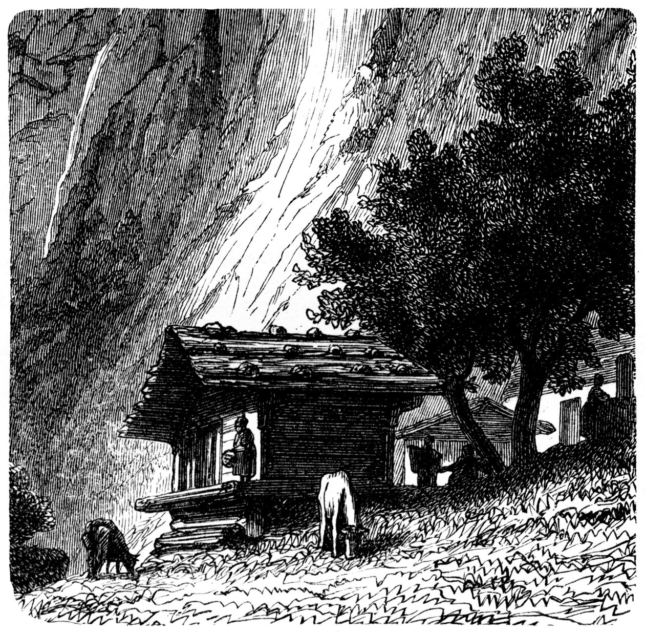 Pohled na Alpy: stará chata na úpatí útesu s kravami pasoucími se (pastviny). Ilustrace Emile Bayard (detail) ke knize Les Montagnes d