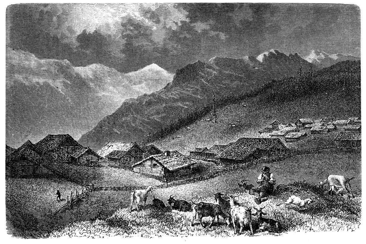Vesnice v Alpách. Murren, v Berner Oberland, nadmořská výška 1630 metrů. Pastýř drží své stádo koz a ovcí (ovce). Ilustrace Emile Bayard pro knihu Alberta Dupaigne „Les Montagnes“, vydání Mame 1881. od Emile Antoine Bayard