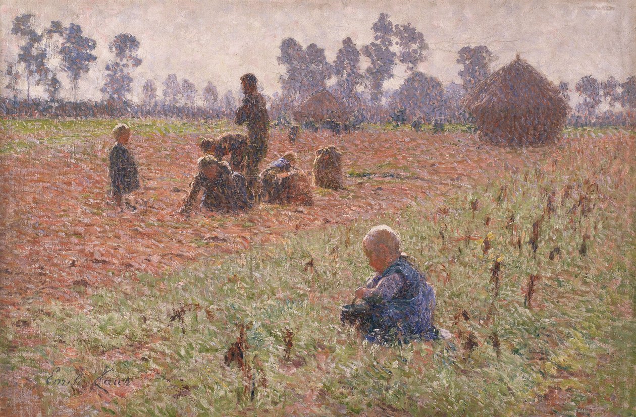Sběr kukuřice od Emile Claus