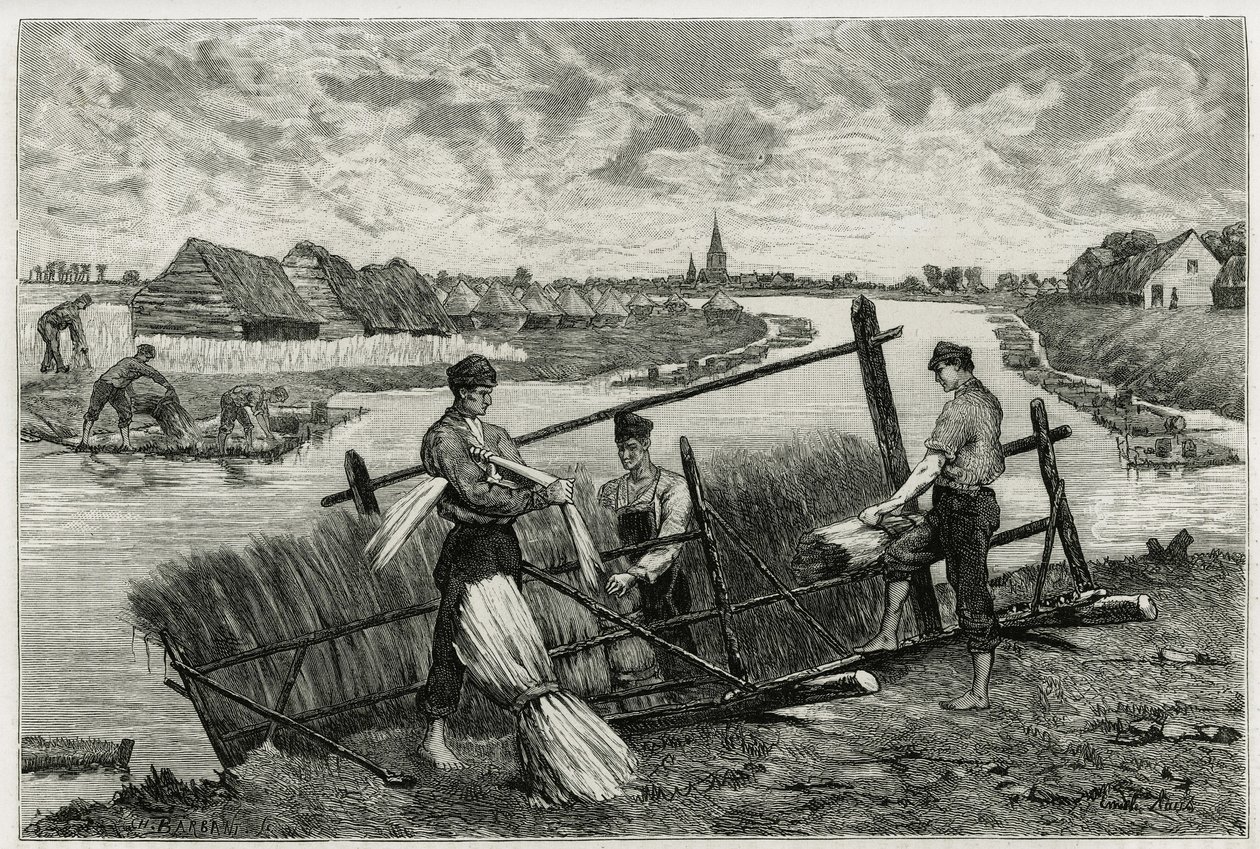 Rez lnu (macerace usnadňující oddělení kůry od stonku) v Lys (řeka severně od Francie a Belgie). Rytina Emile Clause pro ilustraci příběhu „“ La Belgique“ od Camille Lemonnier (1844 -1913), spisovatel a výtvarný kritik. od Emile Claus