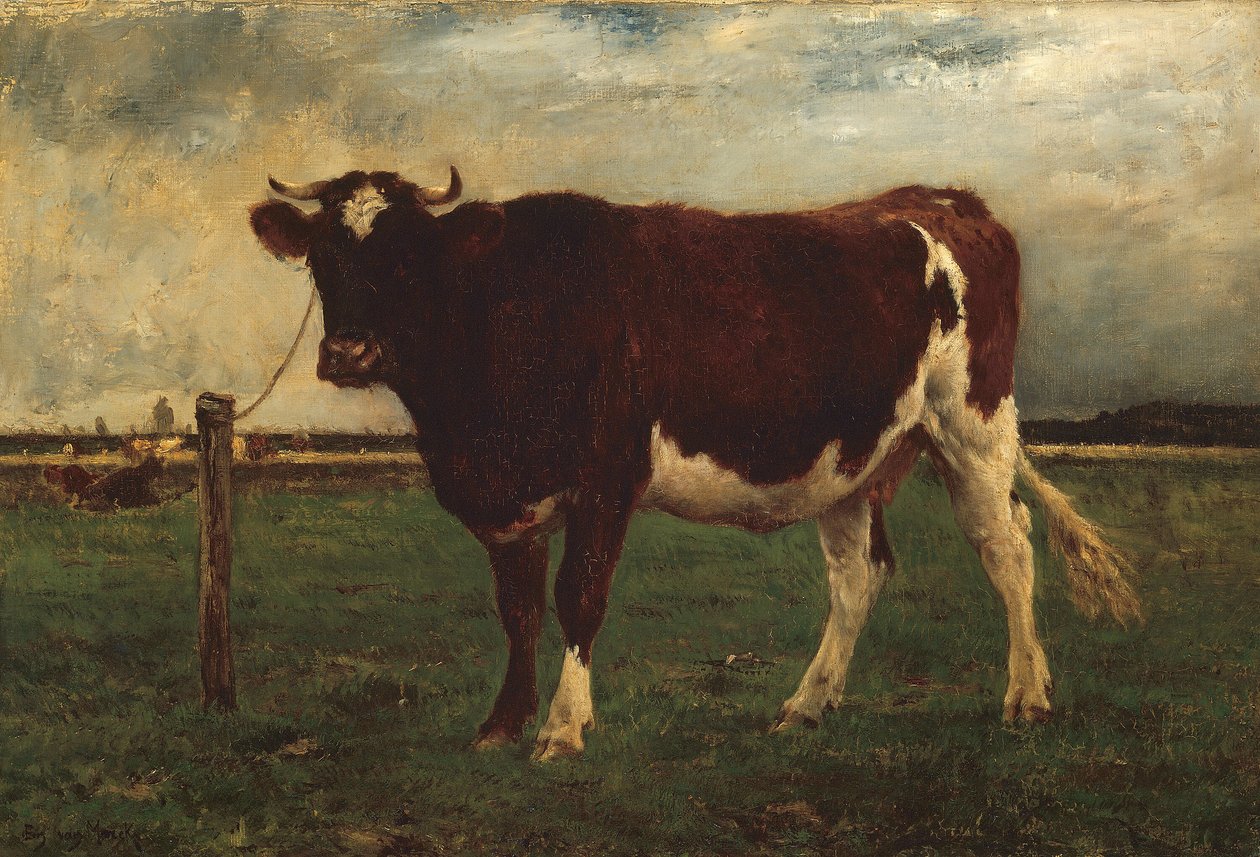 Studie krávy od Emile van Marcke de Lummen