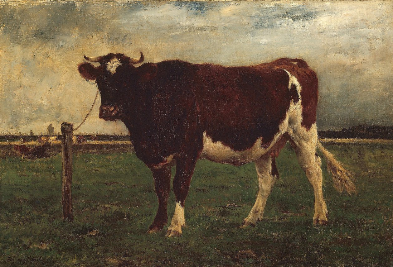 Studie krávy, 1870-90 od Emile van Marcke de Lummen