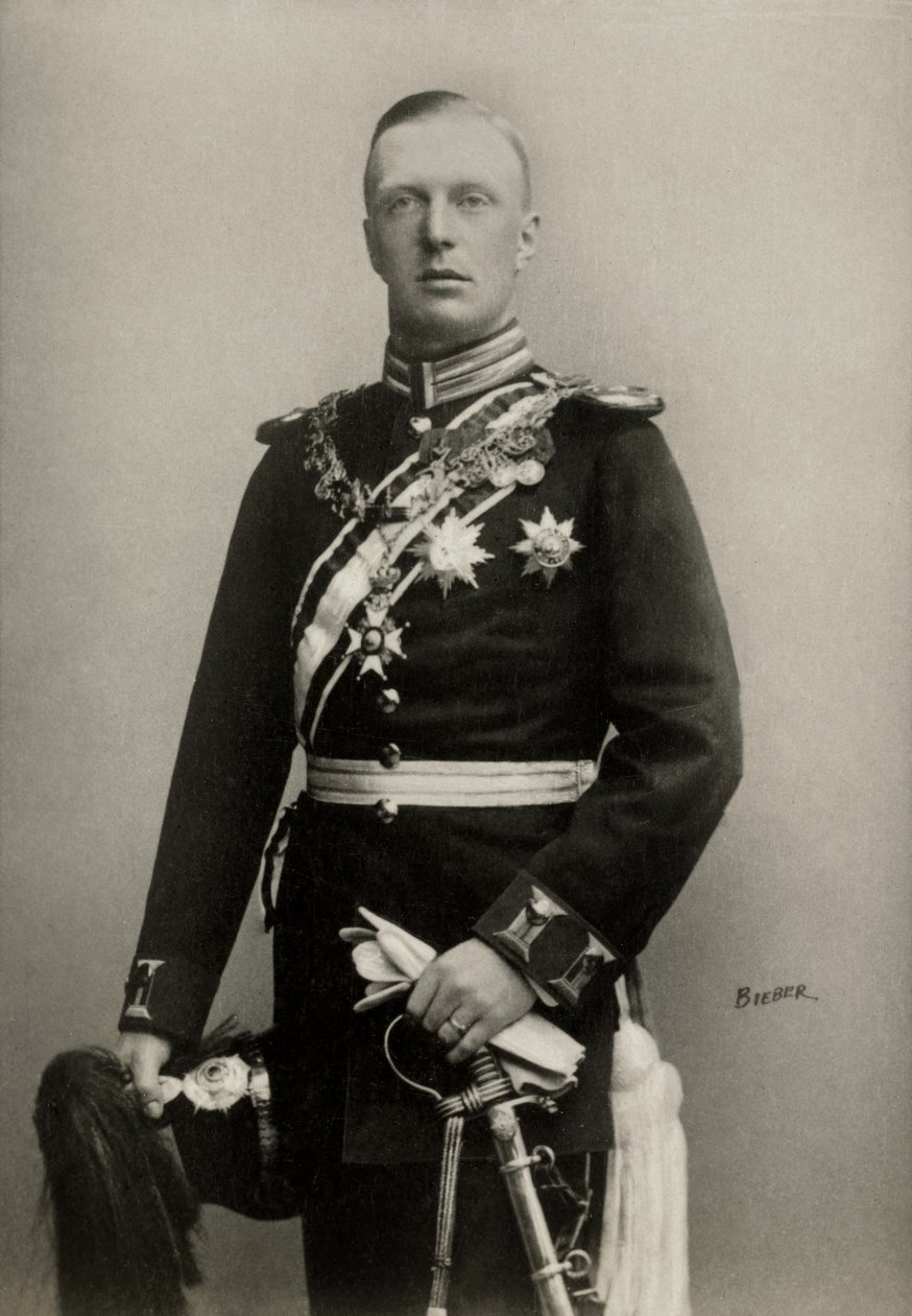 Portrét Henriho , prince-konzora holandského, vévody meklenburského ( 1876 od Emilie Bieber