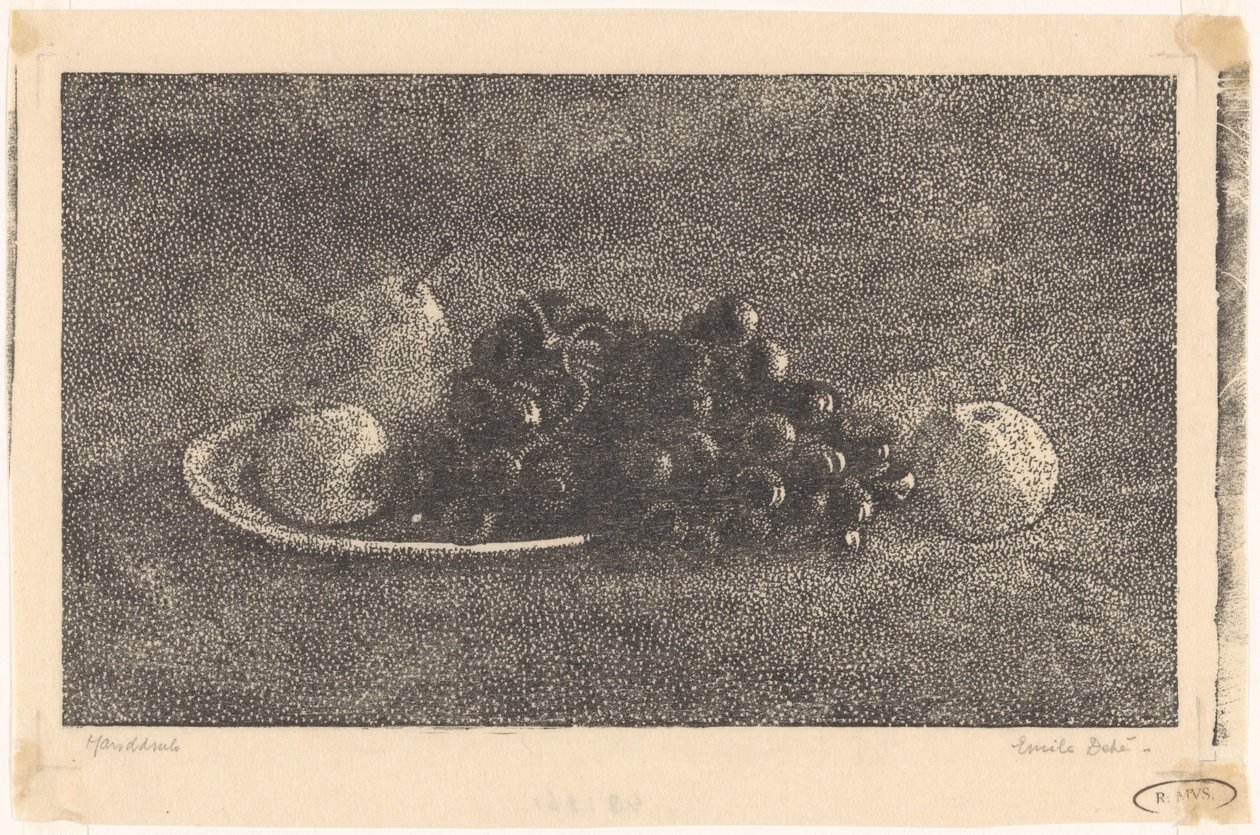 Mísa s hrozny a jiným ovocem od Emilius Wilhelmus Dehé (signed by artist)