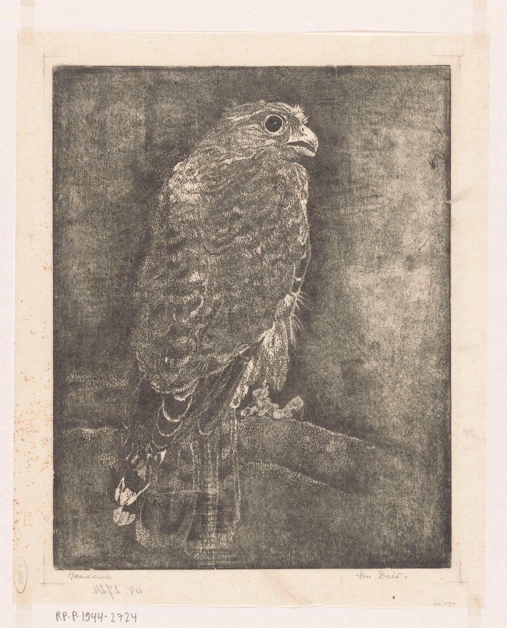 Sokol na větvi od Emilius Wilhelmus Dehé (signed by artist)