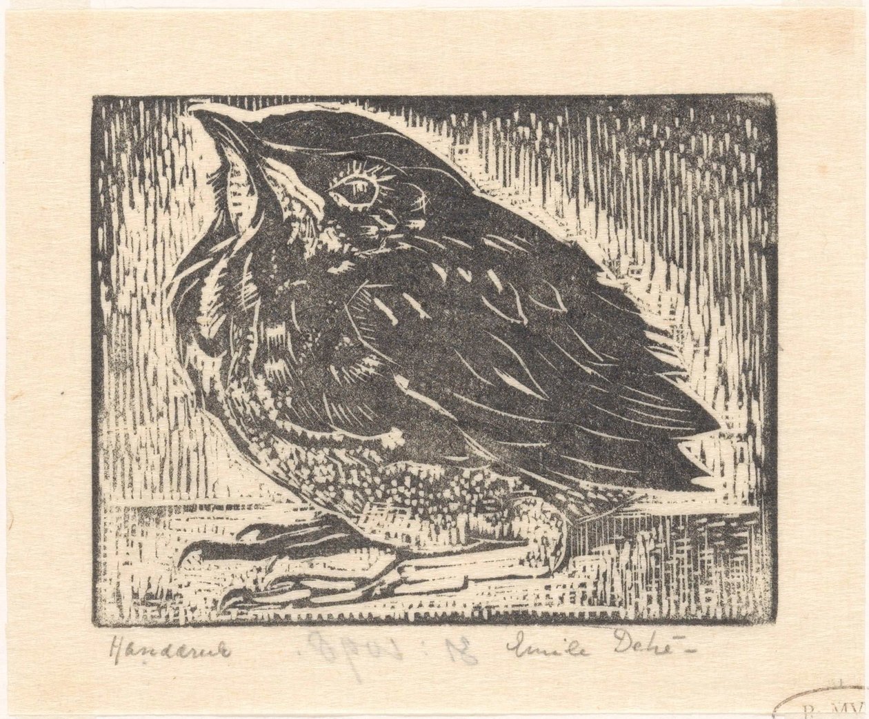 ptačí mládě od Emilius Wilhelmus Dehé (signed by artist)