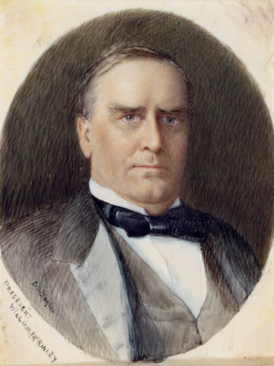 William McKinley od Emily Drayton Taylor