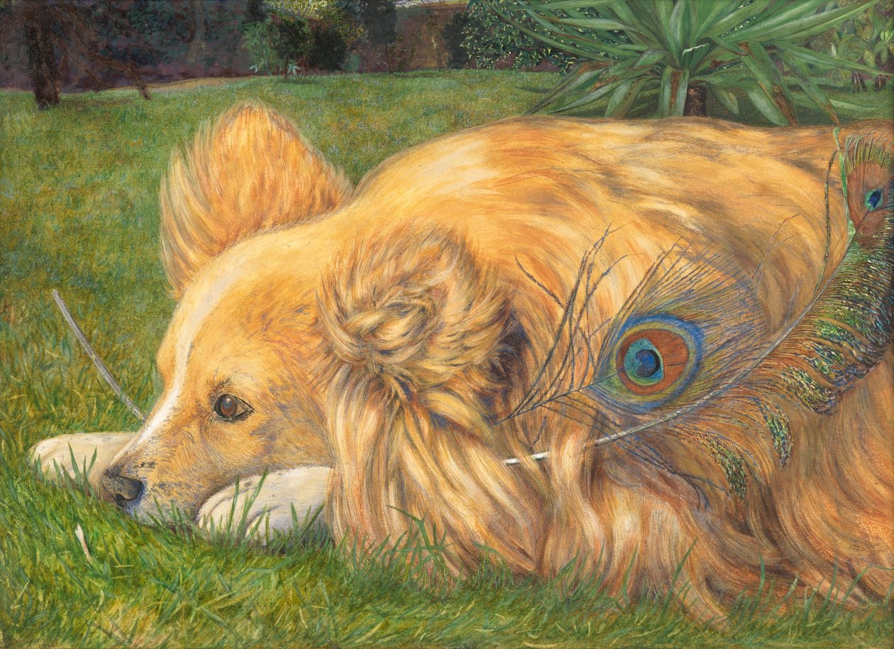 Žárlivá Jessie, 1861 (Wc přes stopy tužky zvýrazněné tělovou barvou a poškrábání) od Emily and Hunt, William Holman Hunt