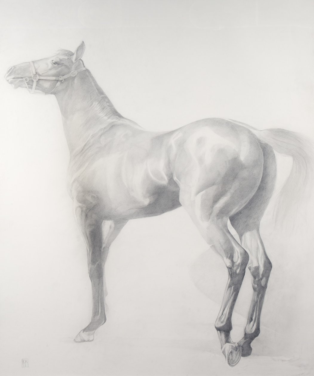 Kicking Off, Series 3, 2011 (grafit na papíře) od Emma Kennaway