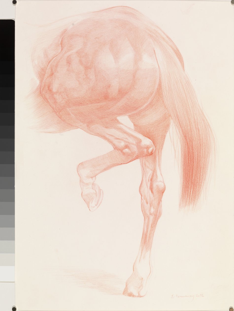 Kicking Off, Series 4, 2012 (červená křída na papíře) od Emma Kennaway