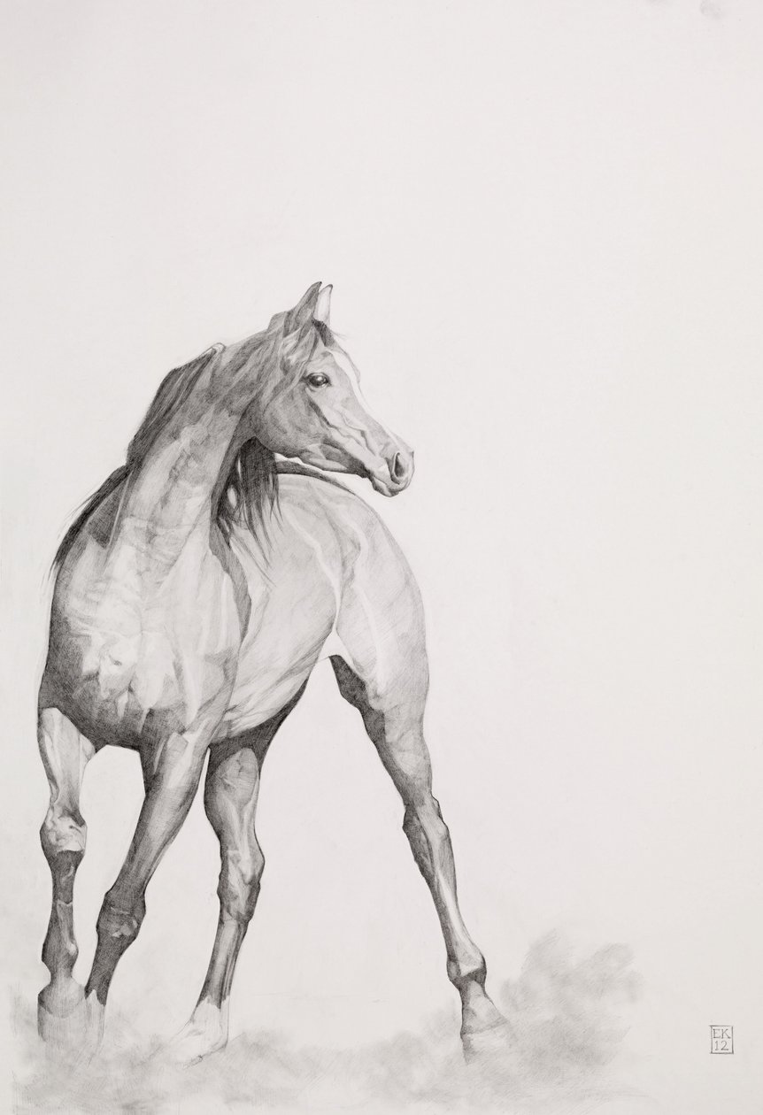 Pohyblivý obrázek, řada 1, 2012 (grafit na papíře) od Emma Kennaway