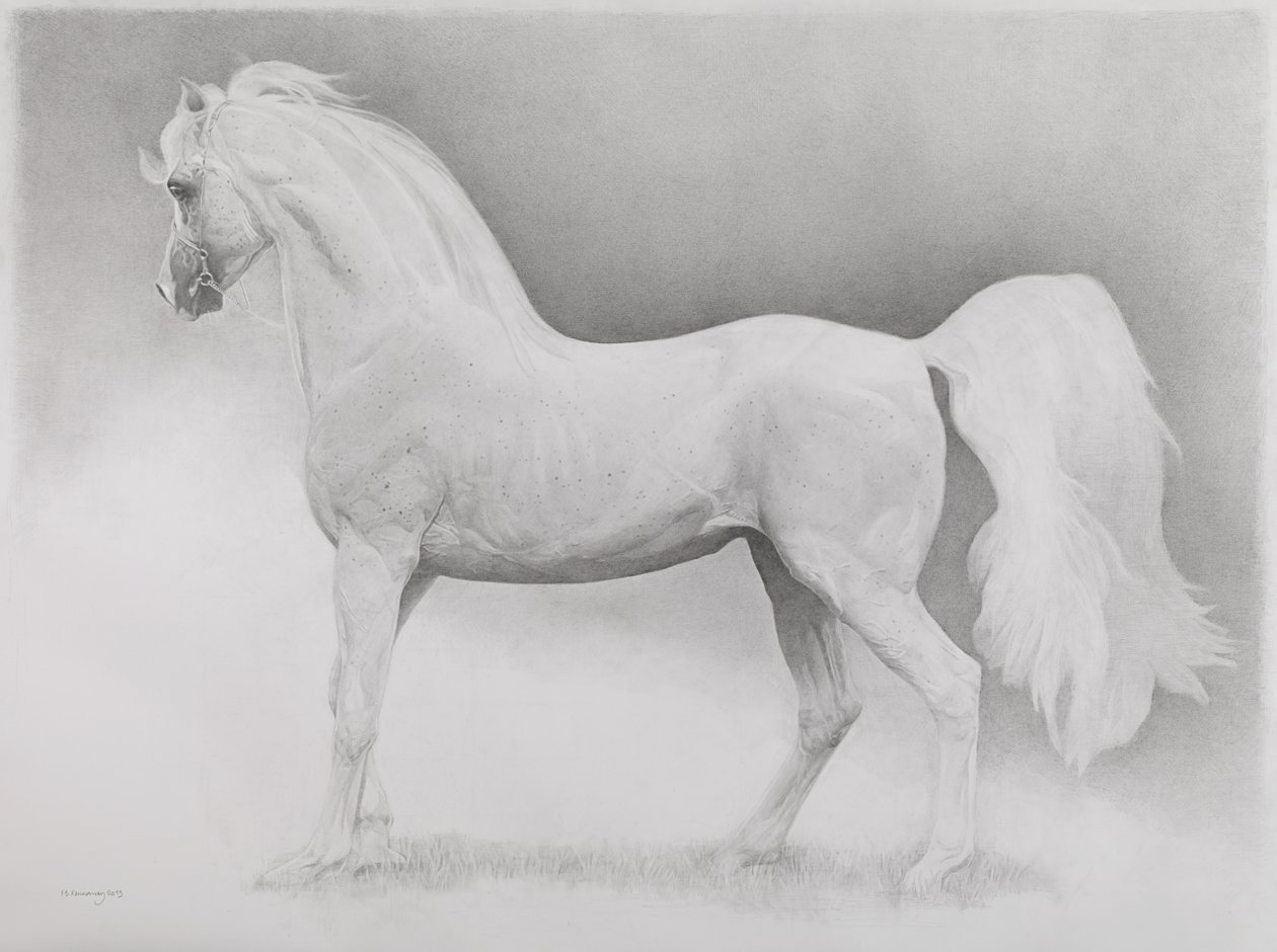Pohyblivý obrázek, řada 2, 2013 (grafit na papíře) od Emma Kennaway