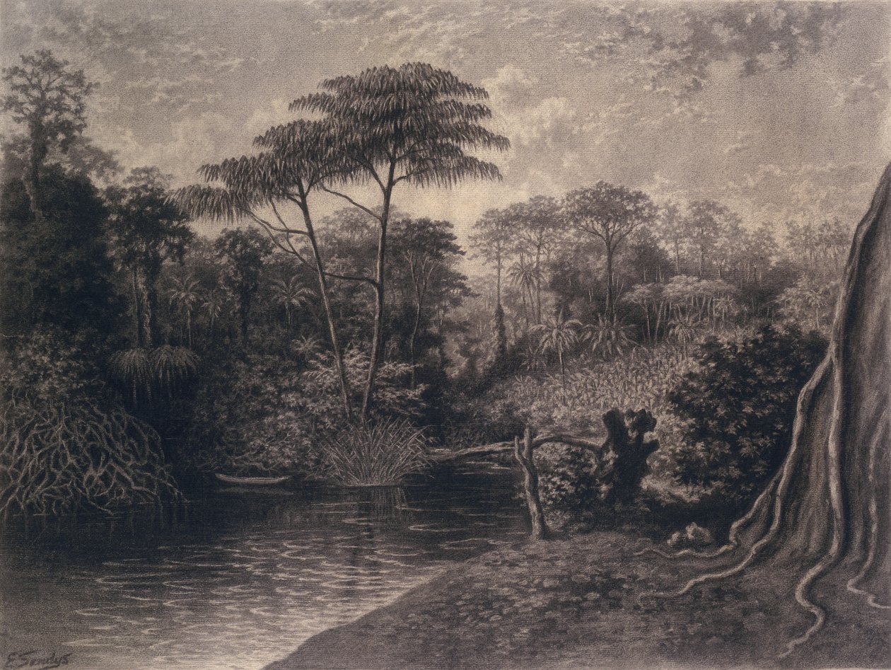 Pohled na řeku Kamerun, Ambeský záliv, Afrika, 1877 (uhel na papíře) od Emma Sandys