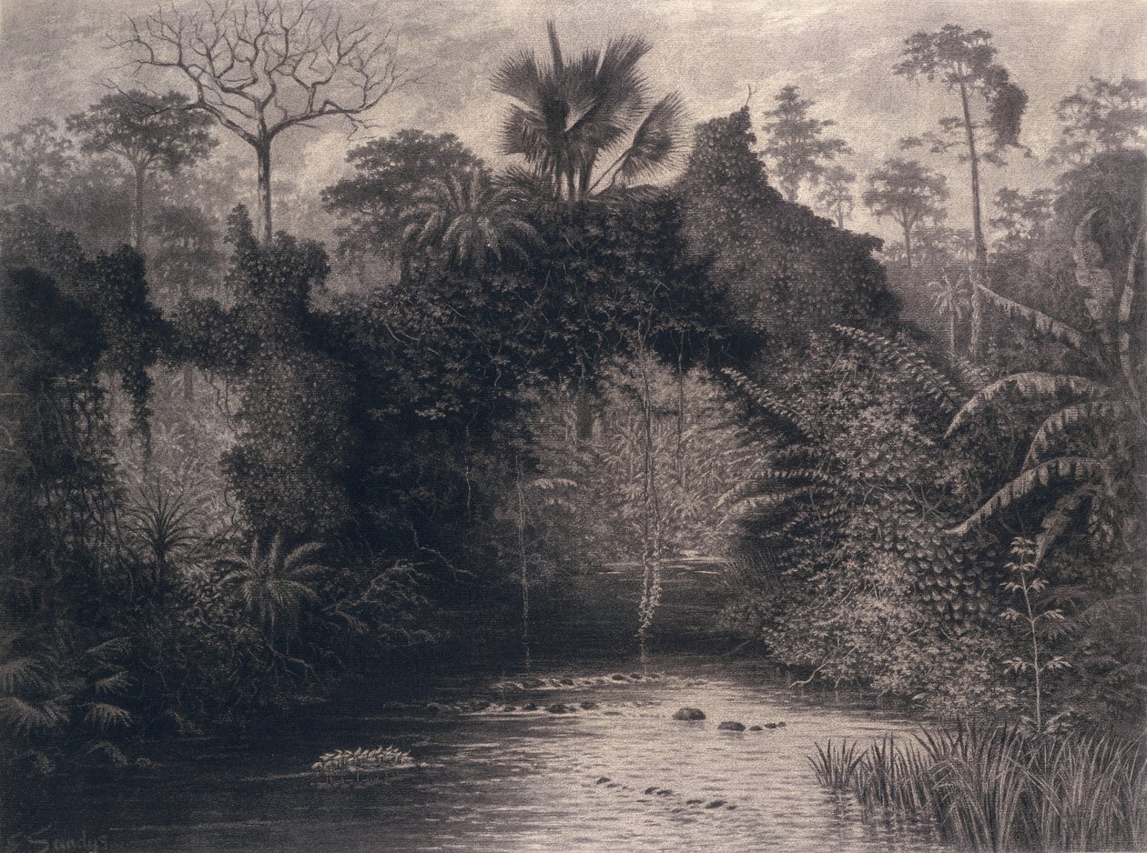 Pohled na záliv Biafra, západní Afrika, 1877 (uhlí na papíře) od Emma Sandys
