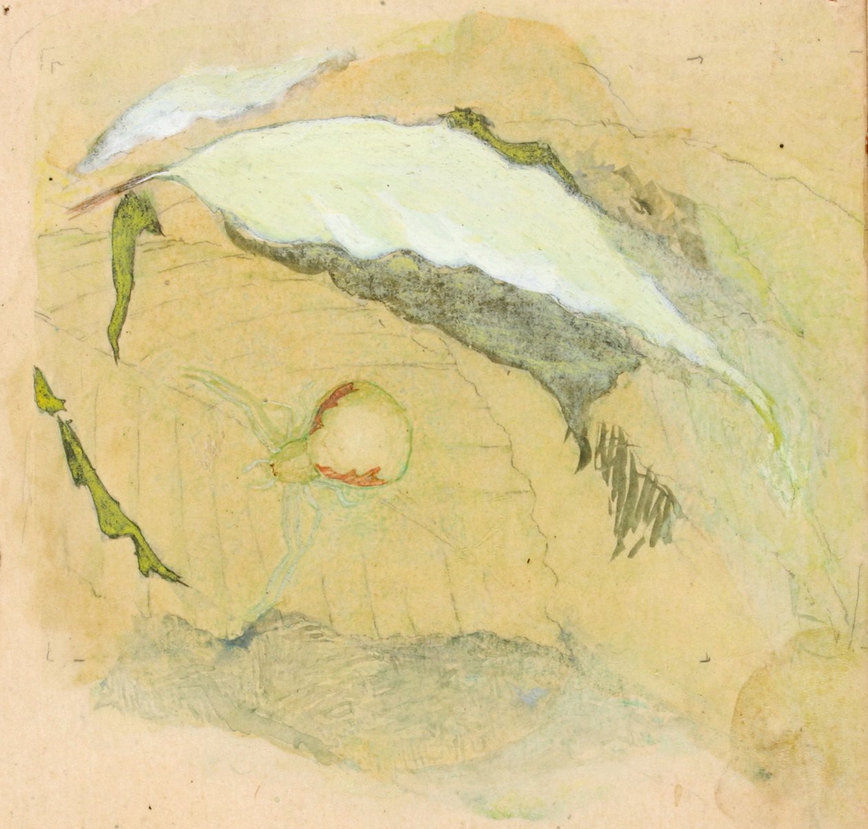 Porcelán-bílý pavouk, konec 19.-začátek 20. století. od Emma Beach Thayer