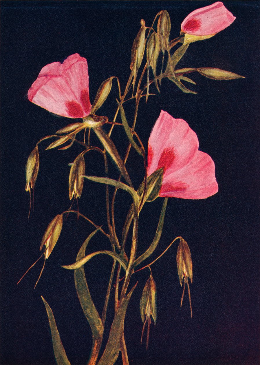 Sbohem jaru, c1915, 1915 od Emma Graham Clock