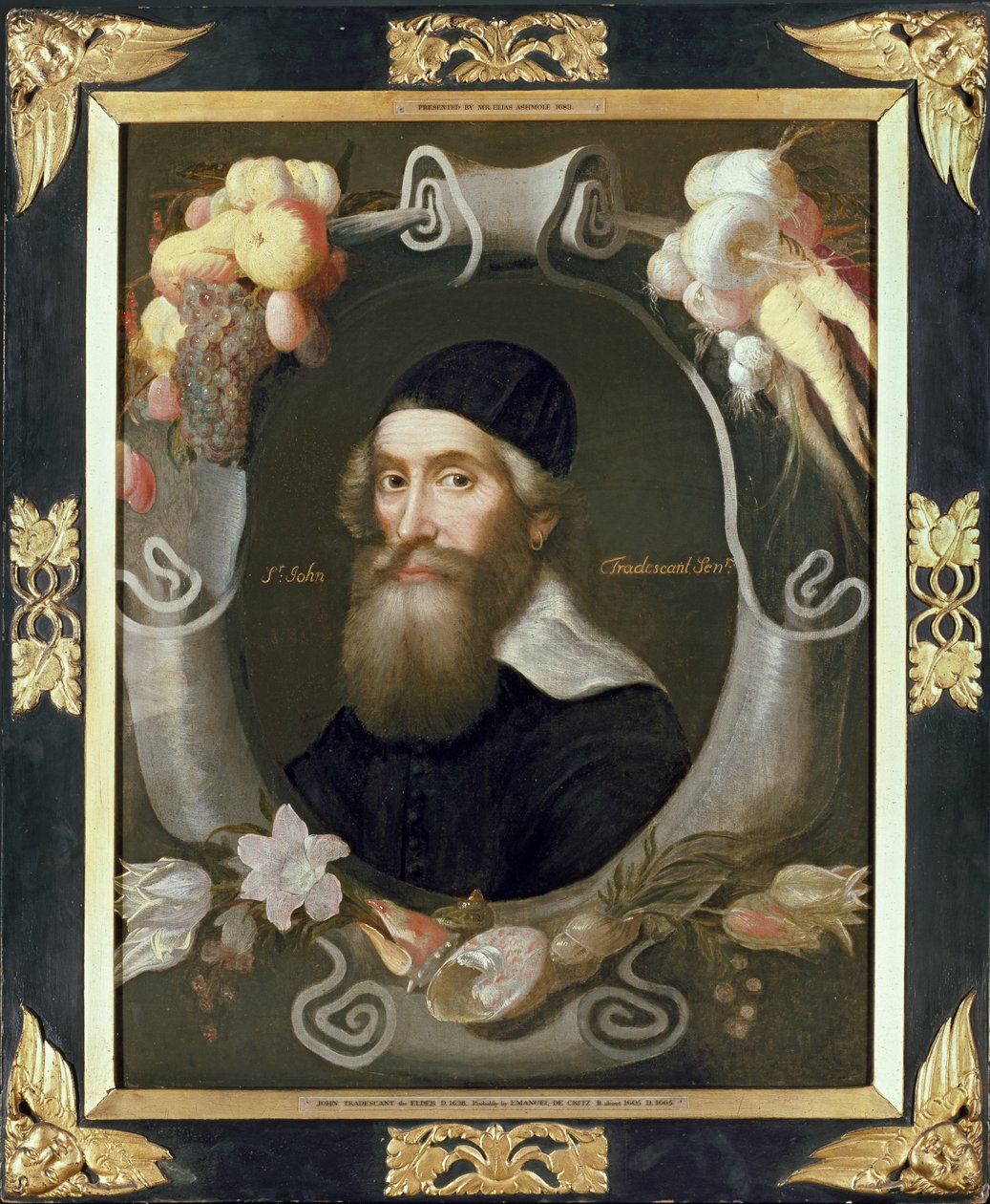 John Tradescant starší, 17. století od Emmanuel de Critz
