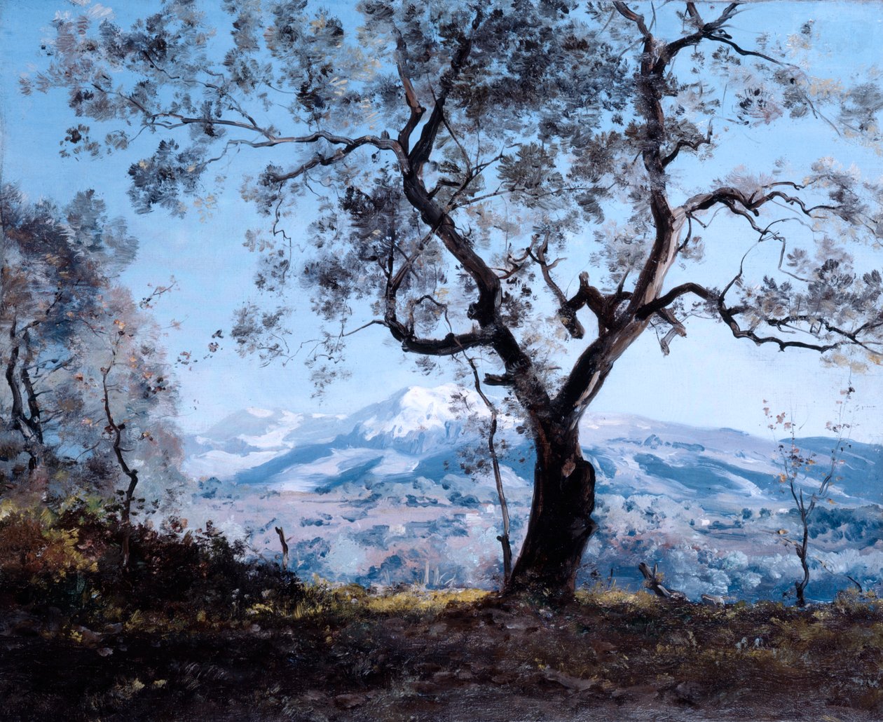 Oblast kolem Mentonu, poblíž Roquebrune, 1892 od Emmanuel Lansyer
