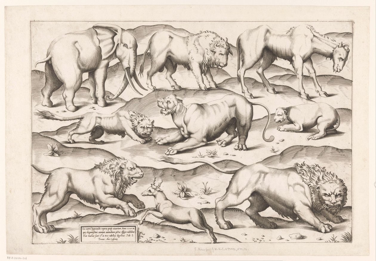Negen wilde dieren Dieren naar antieke muurschilderingen (series title) Speculum Romanae Magnificentiae (series title)   1365874   cs       czech Successfully Translated  Original: Achilles Taught by Centaur Chiron How to Play Lyre Translat: Achilles Taugh od Enea Vico (attributed to)