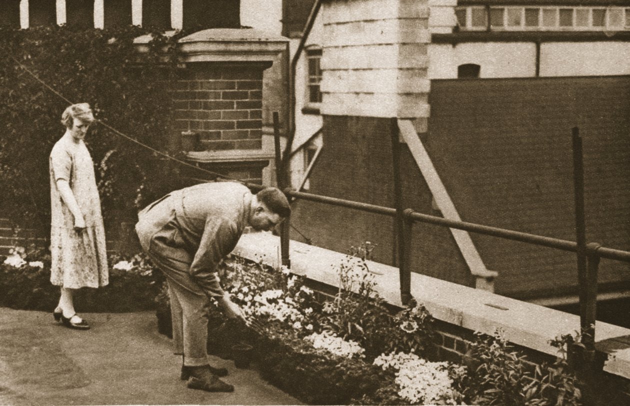 Pár pečující o svou soukromou střešní zahradu na bloku v Tudor Street, z Wonderful London, vydáno 1926-27 (hlubotisk) od English Photographer