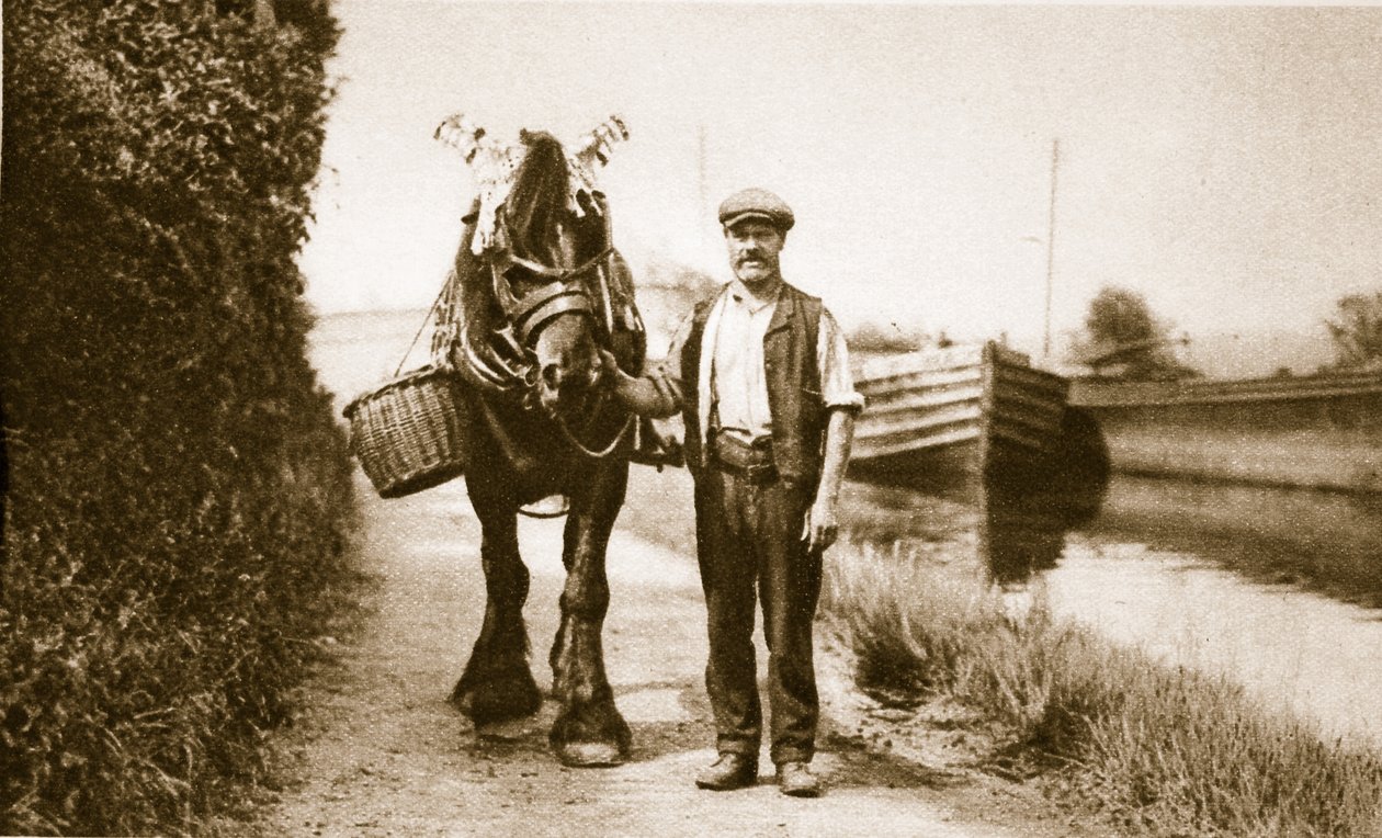 Kůň připravený táhnout člun na kanálu, Londýn (sépiová fotografie) od English Photographer