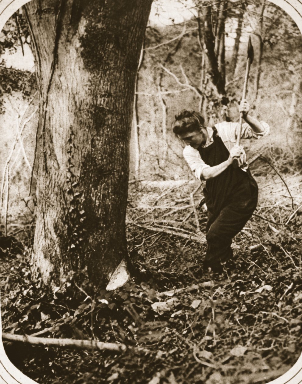Namáhavá pracovnice ve Weston-Super-Mare; kácení stromů v Somersetském lese, ilustrace z The Illustrated War News, září 1916 (sépiová fotografie) od English Photographer