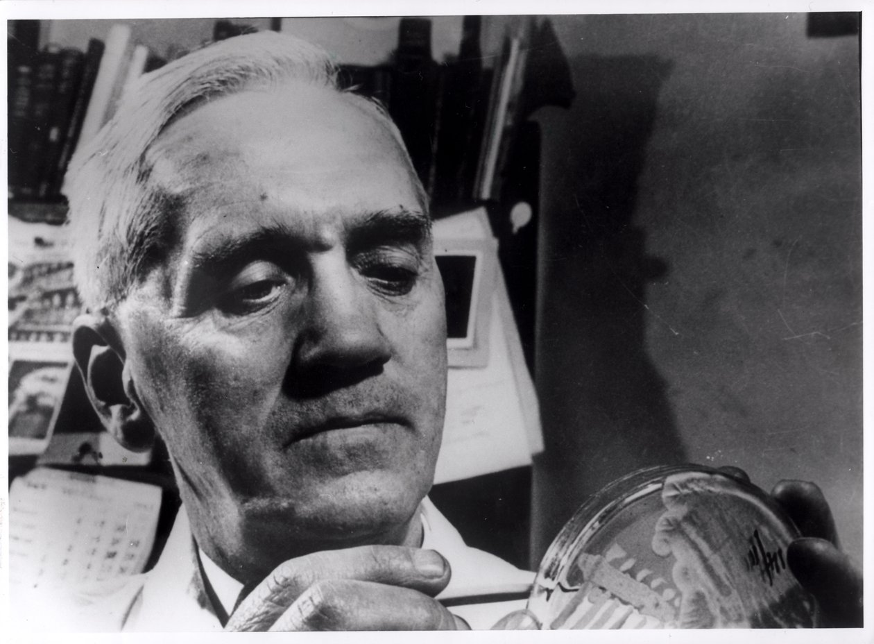 Alexander Fleming (1881-1955) kolem roku 1945 od English Photographer