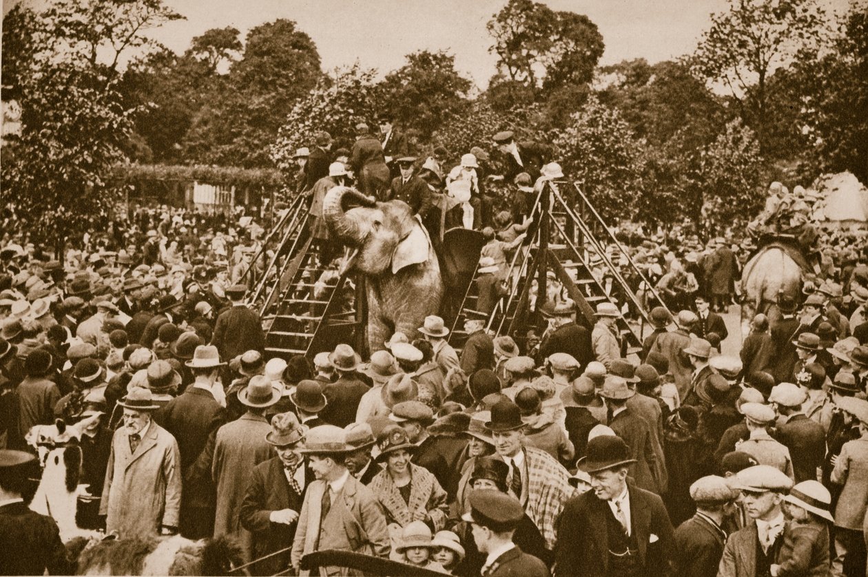 Jízdy na zvířatech v londýnské zoo (sépiová fotografie) od English Photographer