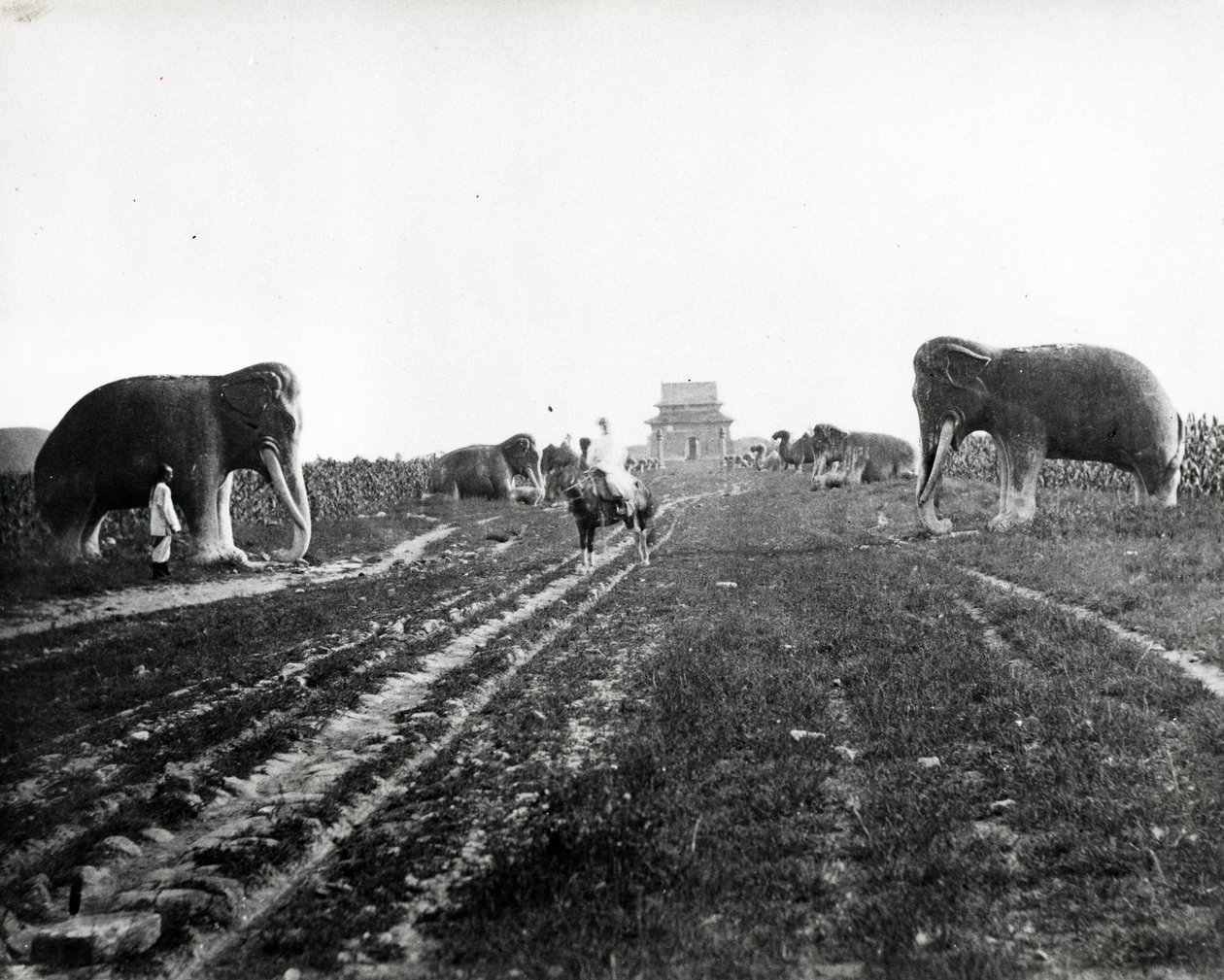 Avenue of Guardian Animals Leading to the Ming Tombs, Peking, c.1868-70 od English Photographer