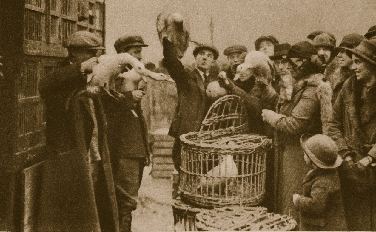 Nákup živé drůbeže na trhu Pedlars na trhu Caledonian Market (sépiová fotografie) od English Photographer