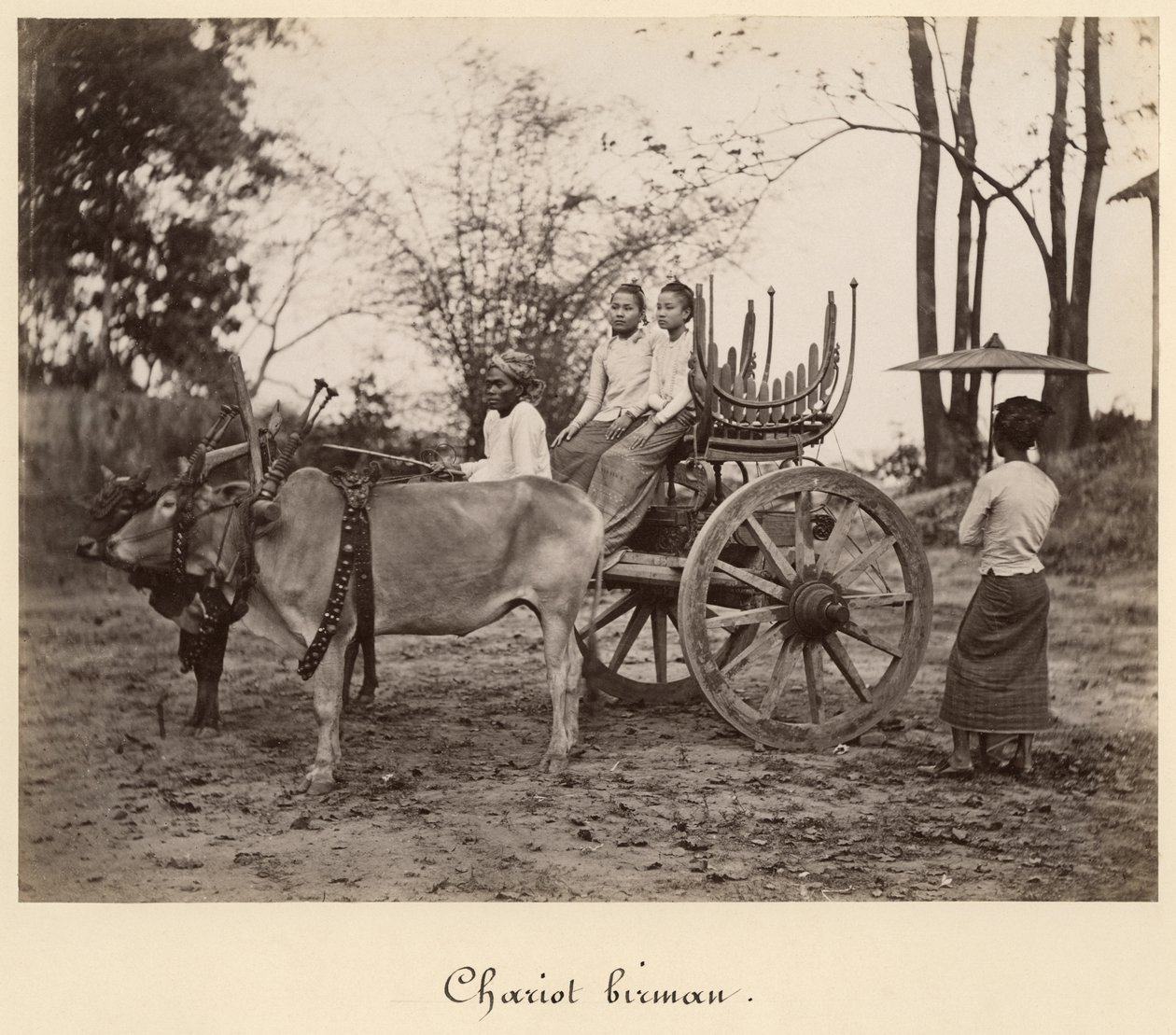 Vozík tažený dvěma voly v Mandalay, Barma, kolem roku 1885 (tisk alba ze skleněného negativu) od English Photographer