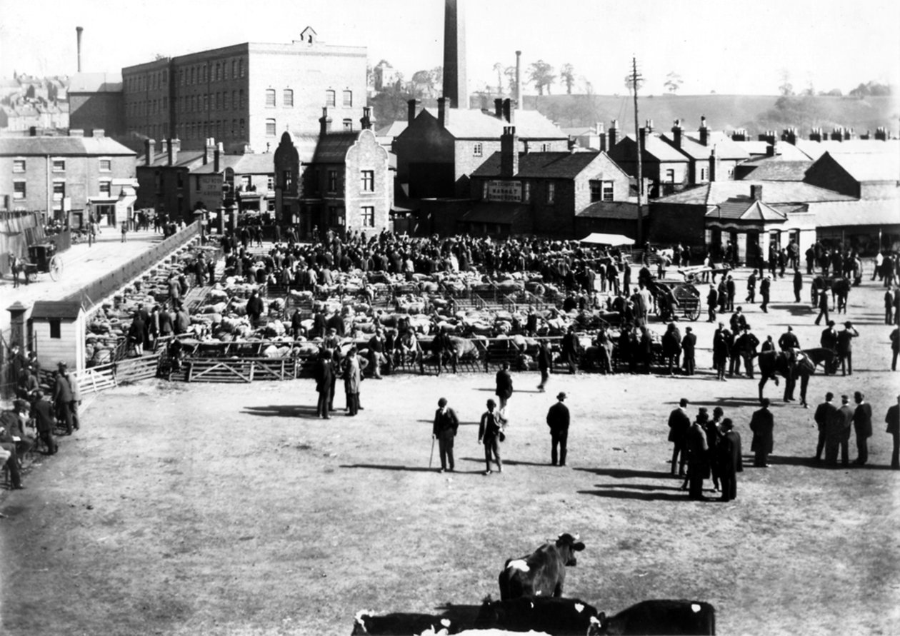 Dobytčí a velkoobchodní trh, Kidderminster, 1900 od English Photographer