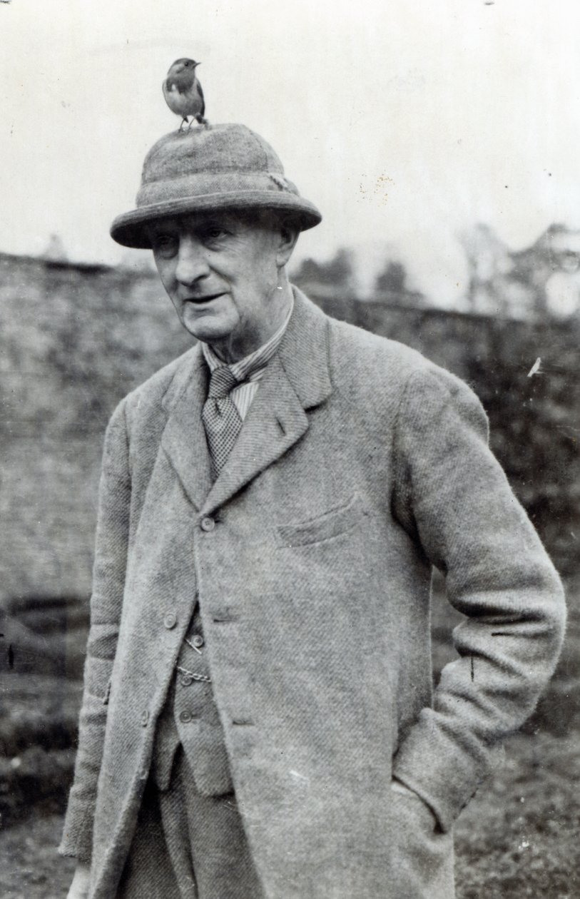 Edward Grey, první vikomt Gray z Fallodonu od English Photographer