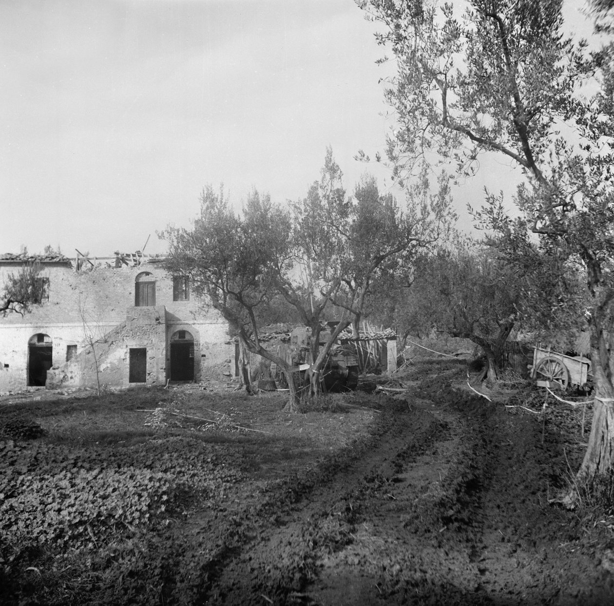Vstup do uličky přes minové pole vedoucí k Licolle Ridge, kolem roku 1944 od English Photographer