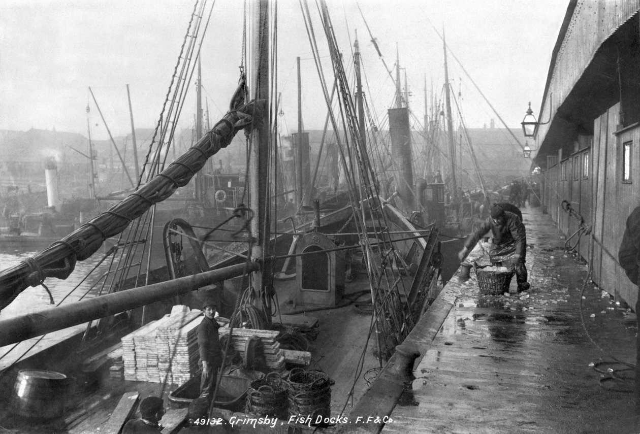 Rybí doky, Grimsby, počátek 20. století od English Photographer