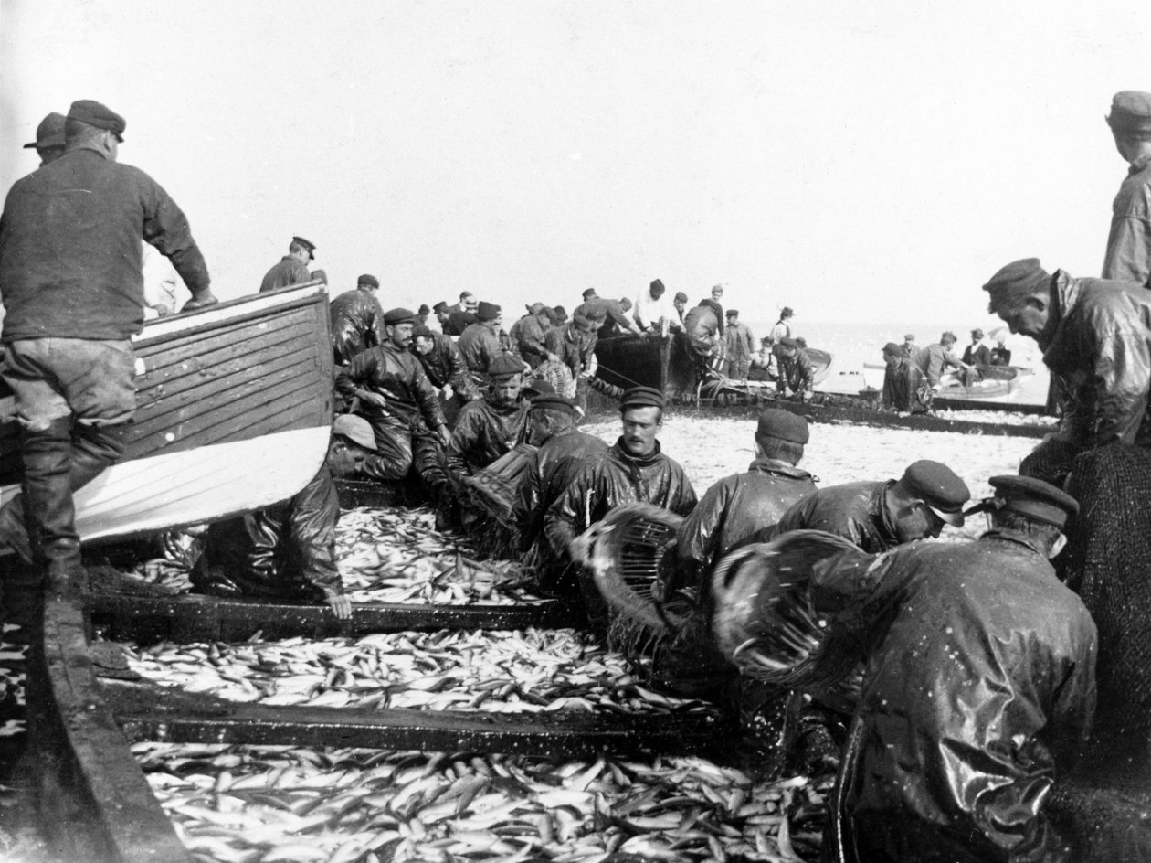 Fisherman with their Catch, c.1890 od English Photographer