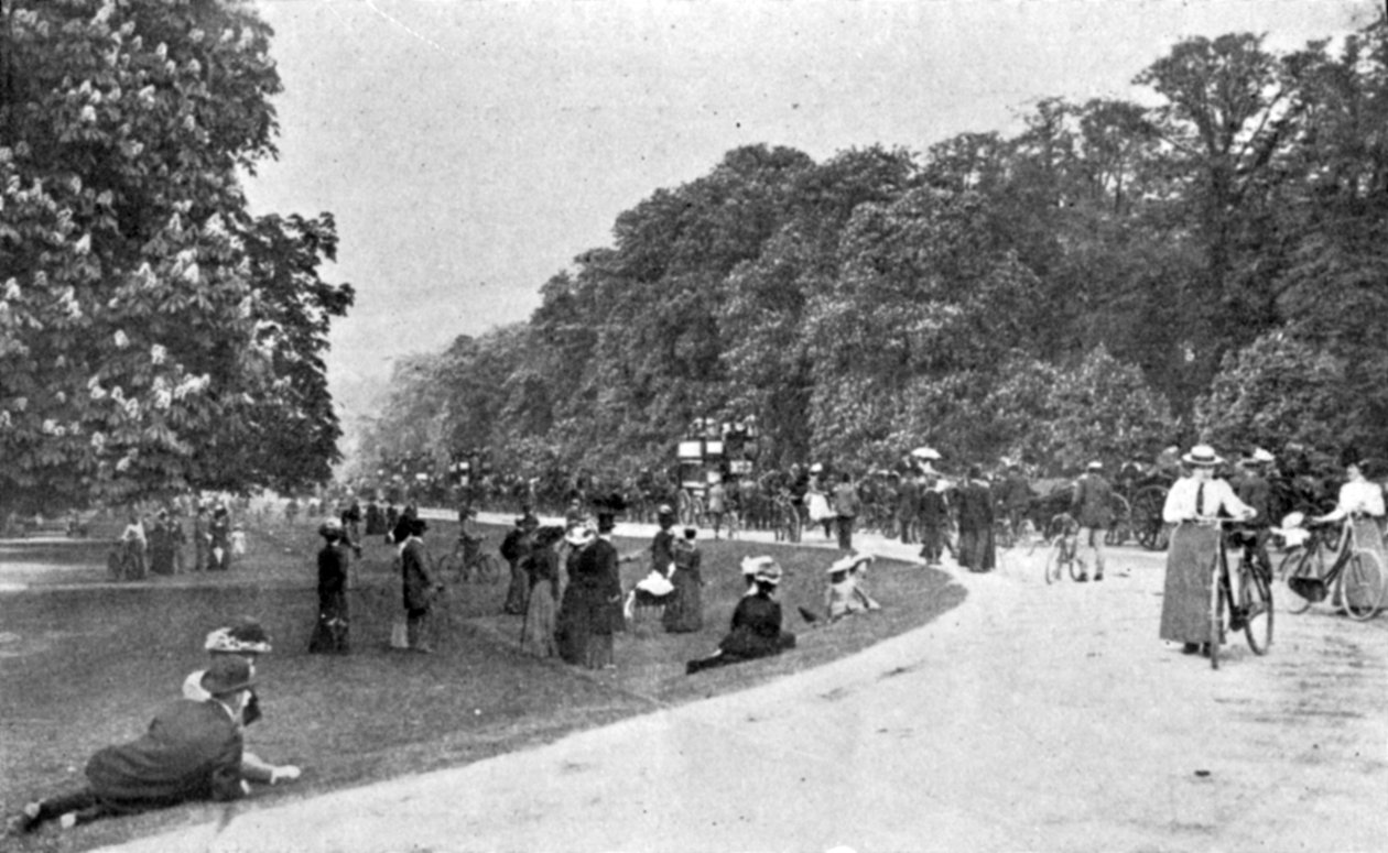 Celkový pohled na Bushey Park, ilustrace z The King, 25. května 1901 od English Photographer