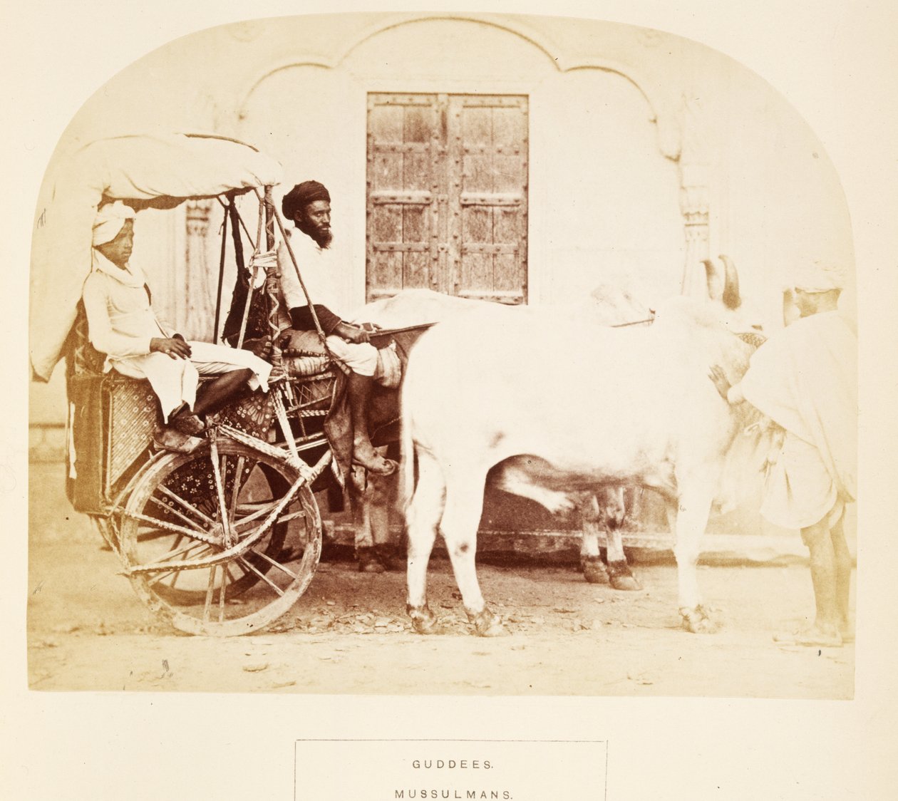 Guddees, Mussulmans, Rajpootana, from The People of India, od J. Forbes Watsona, vydáno 1868 (tisk alba) od English Photographer