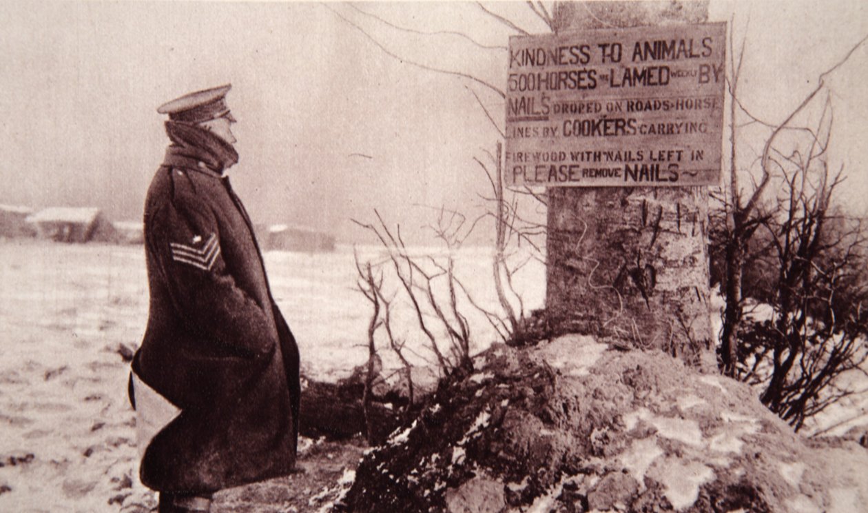 Kindness to Animals, ilustrace z The Illustrated War News, 7. února 1917 (sépiová fotografie) od English Photographer