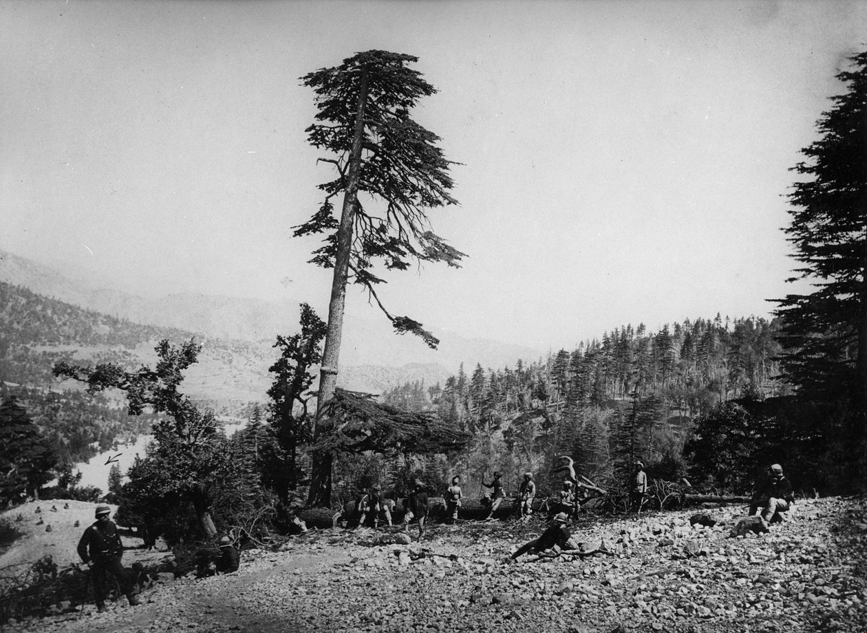 Domorodí a britští vojáci odpočívající během druhé anglo-afghánské války, 1878-80 od English Photographer