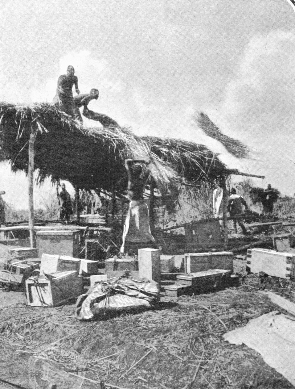 Natives Building a Rest-House, z článku s názvem To the Mountains of the Moon publikovaného v The Graphic 27. října 1906 od English Photographer