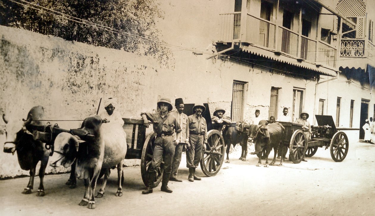 „Zachráněné britské zbraně jsou stále užitečné“, Zanzibar, 1914 od English Photographer